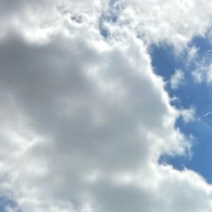 Meet your Posher, Savannah